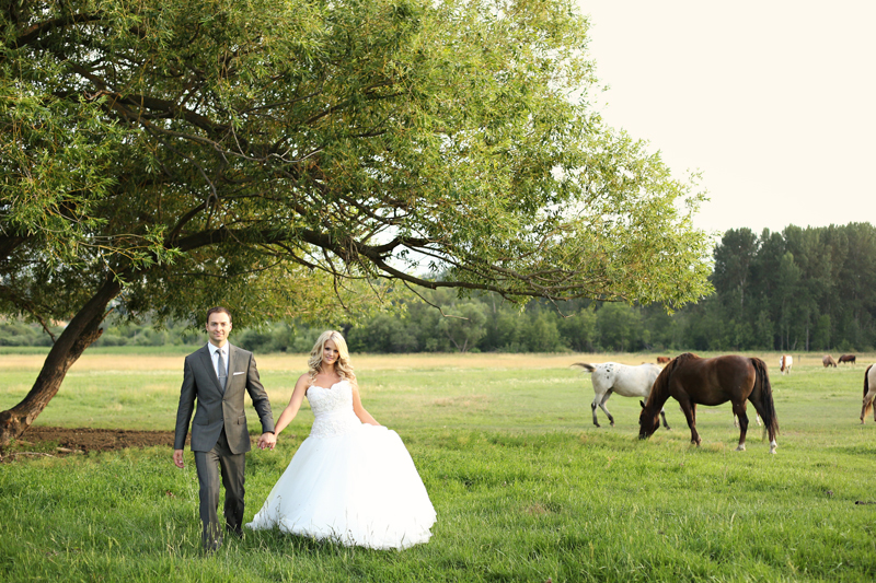 Horse wedding photos.